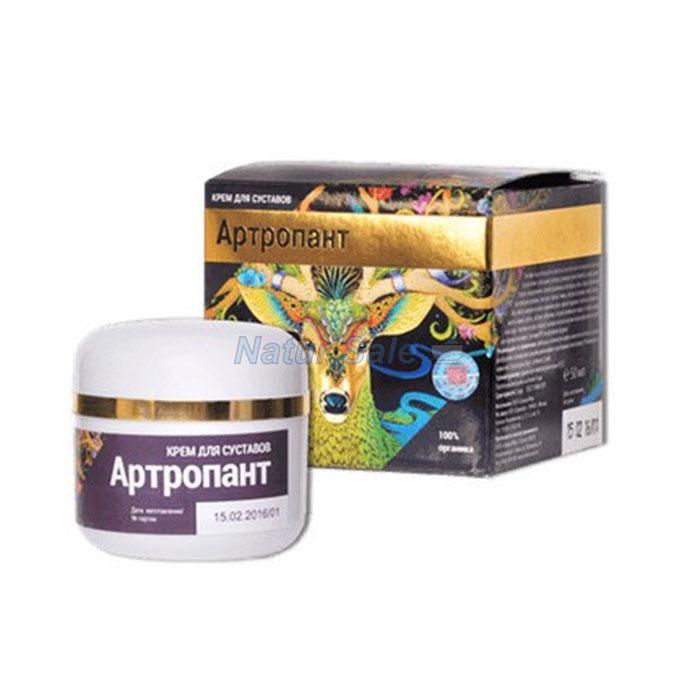 ☆ Artropant - cream for joints